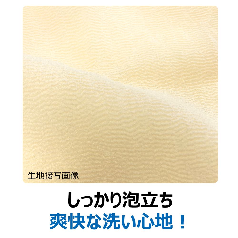 キクロンファイン シャスターかため ｙ キクロンオンラインショップ