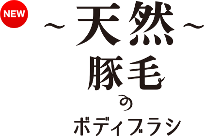 天然ボディブラシ