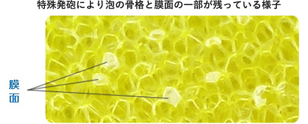 特殊発砲により泡の骨格と膜面の一部が残っている様